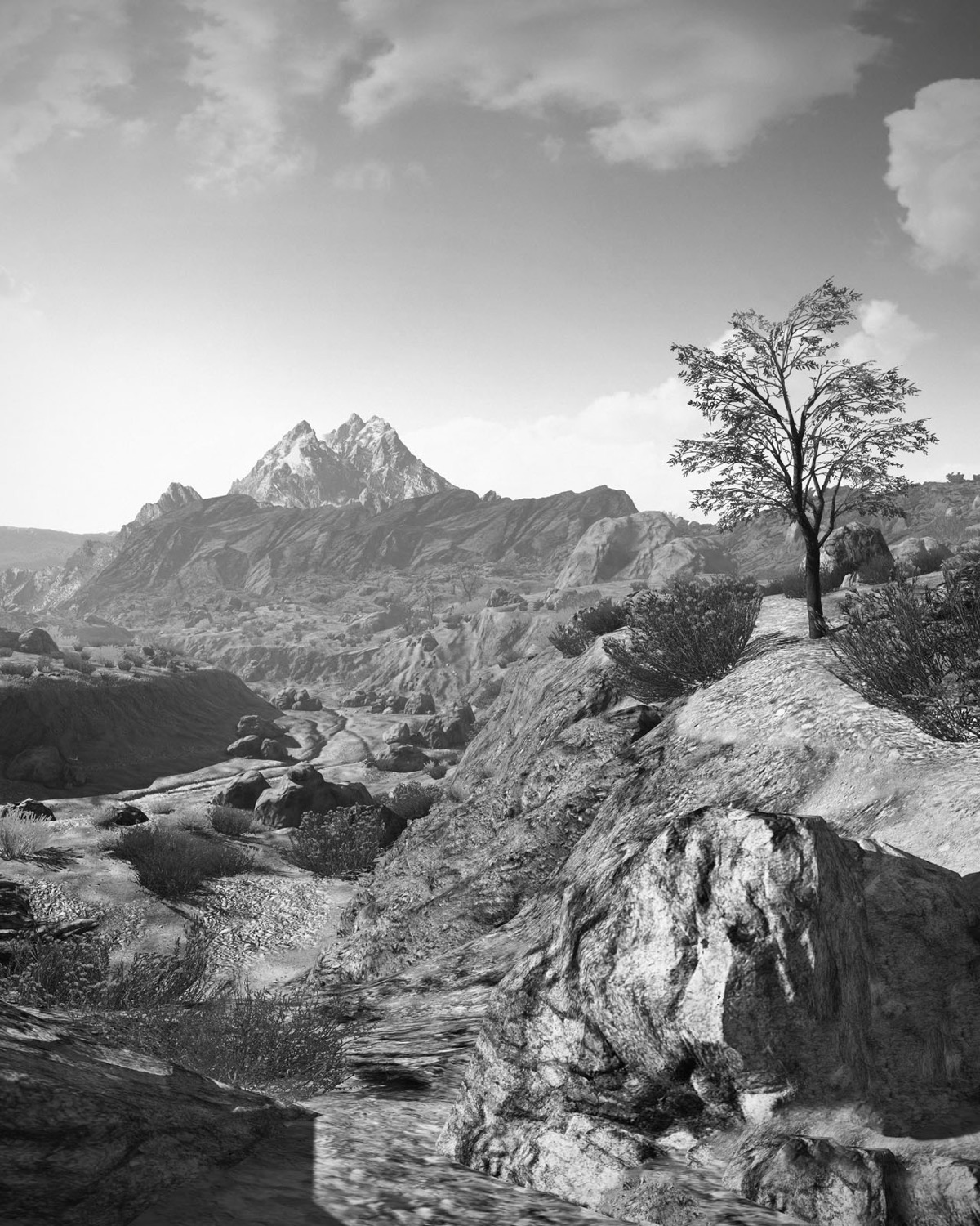 Dry Gulch