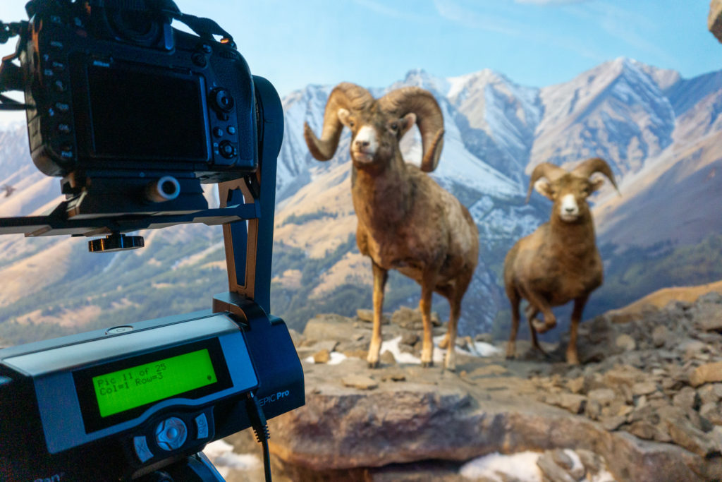 The camera and stand used for Justin's Deep Photo in front of the diorama.